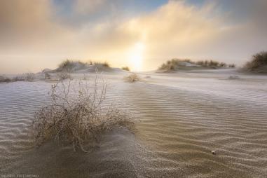 Заснеженные дюны